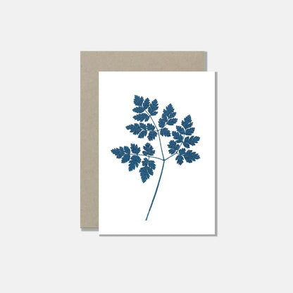 White nature postcards - set of 6 cards