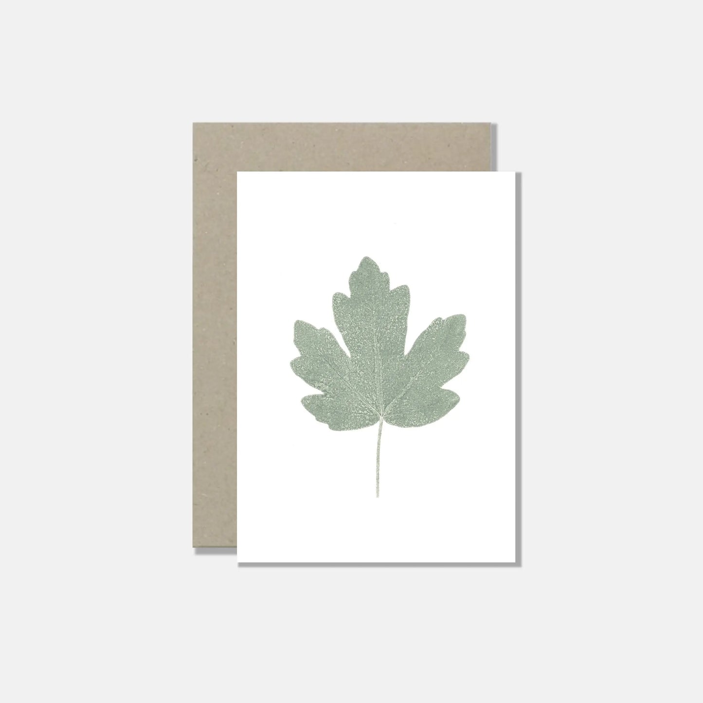 Green nature postcards - set of 5