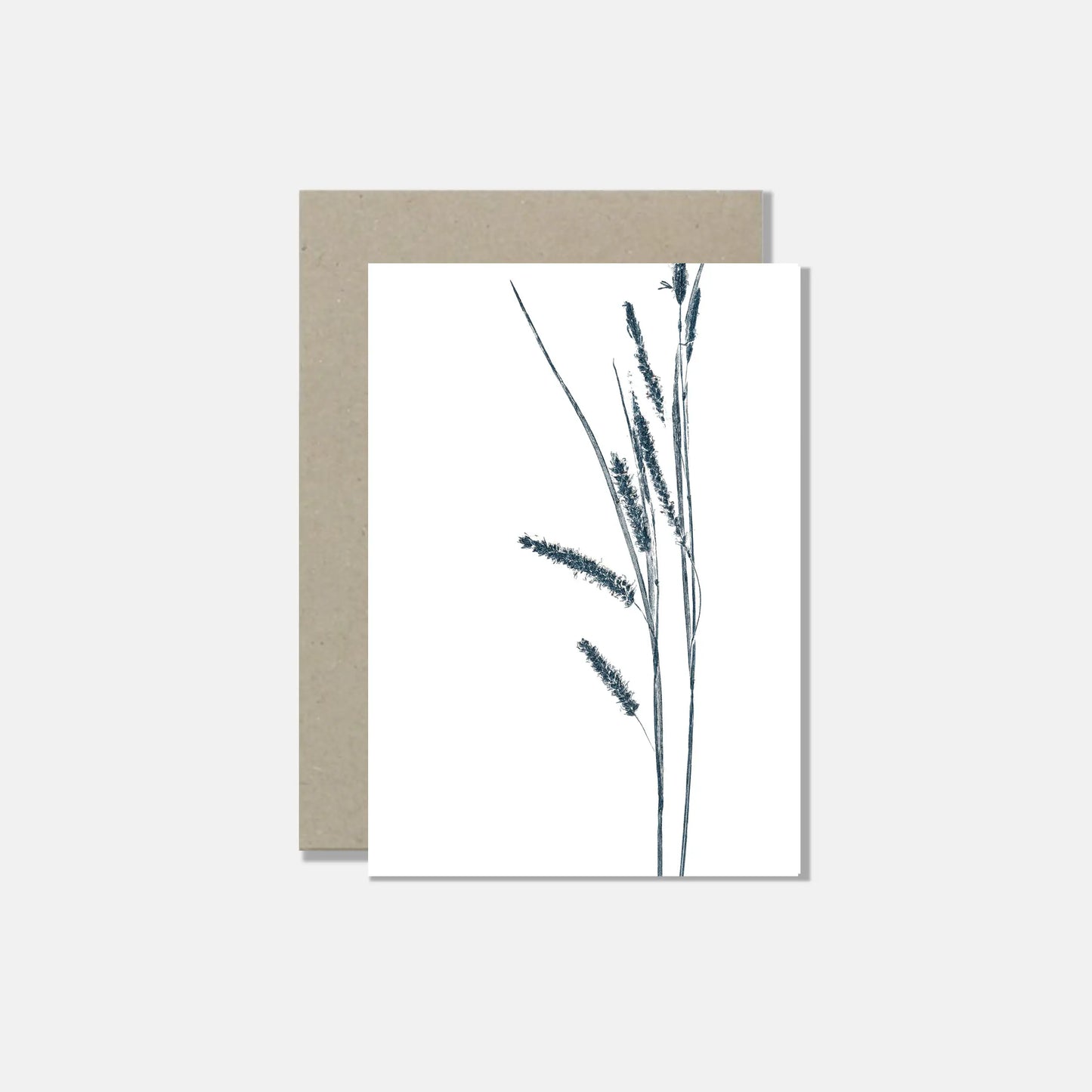 White nature postcards - set of 5