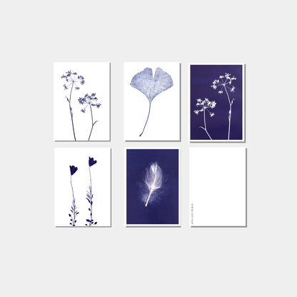 Blue nature postcards - set of 5