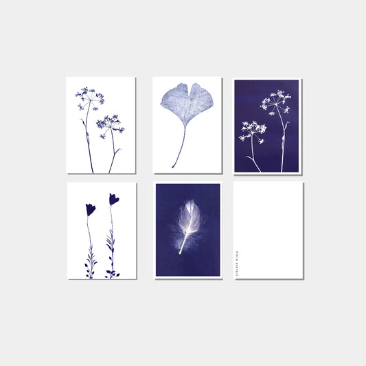 Blue nature postcards - set of 6 cards