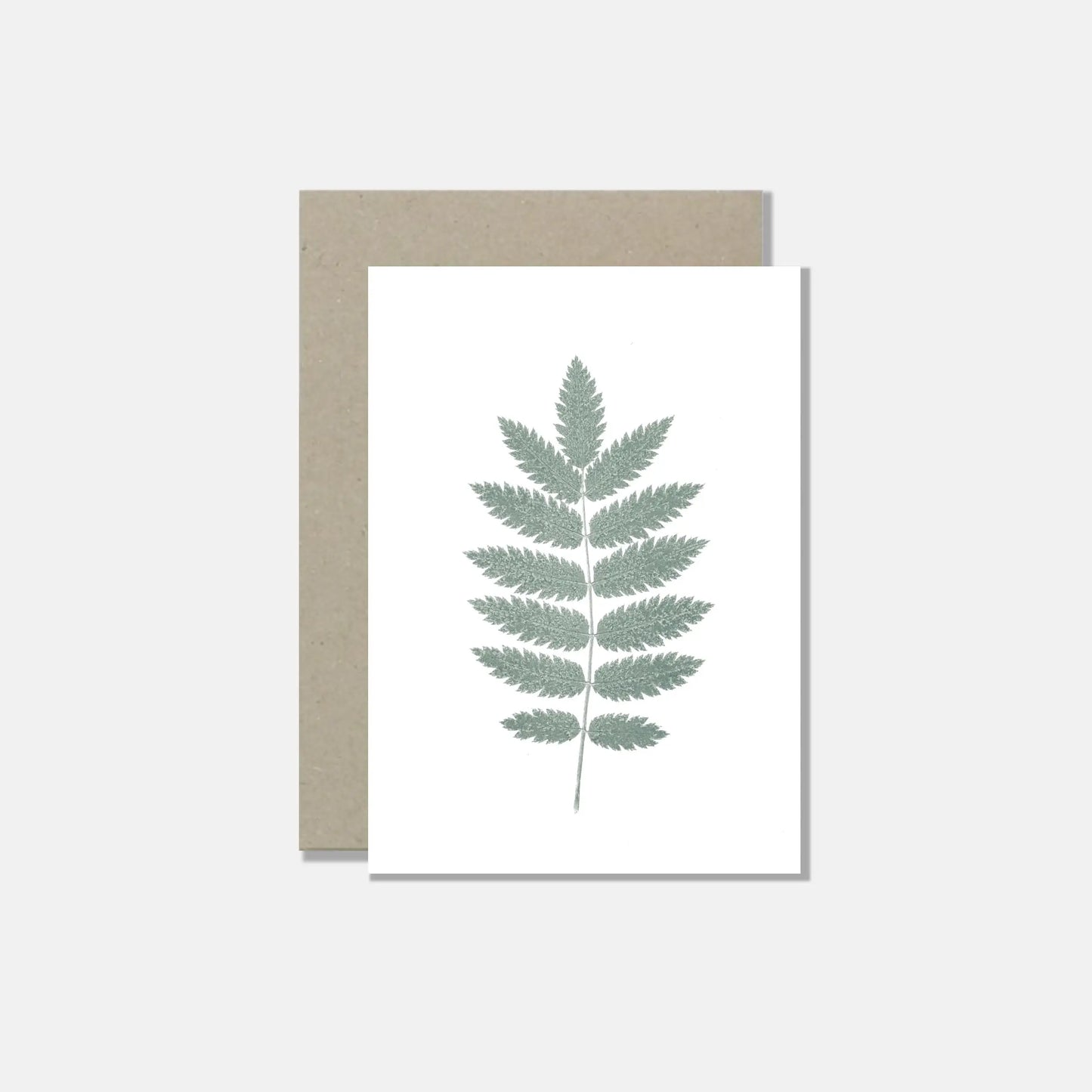 Green nature postcards - set of 6 cards