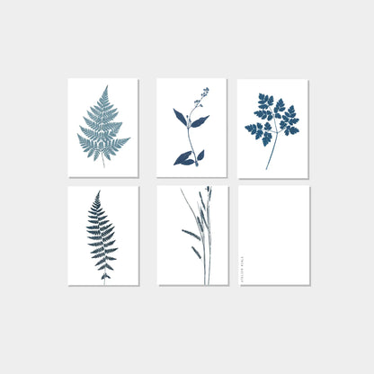 White nature postcards - set of 6 cards