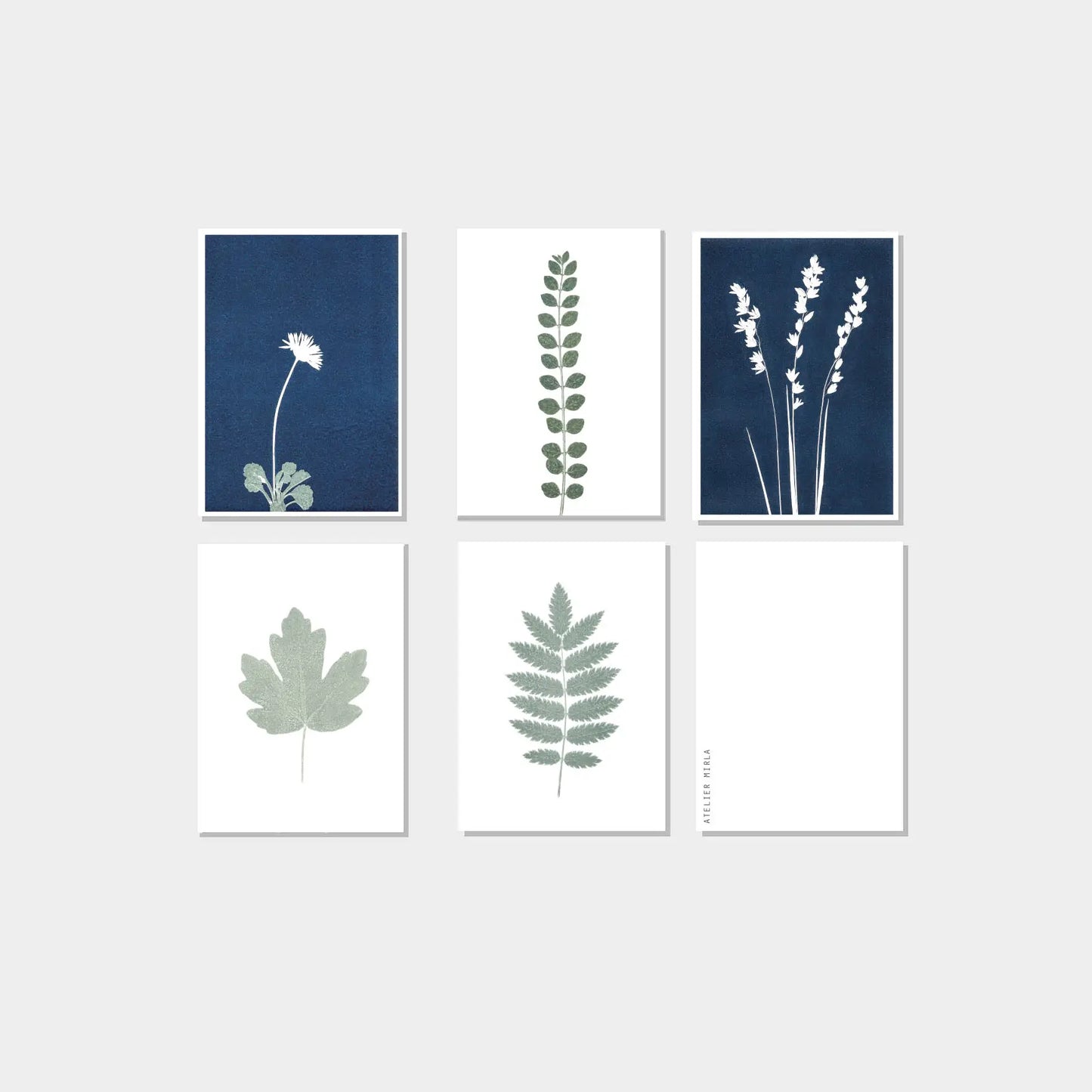 Green nature postcards - set of 5